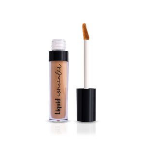 Concealer (Light)